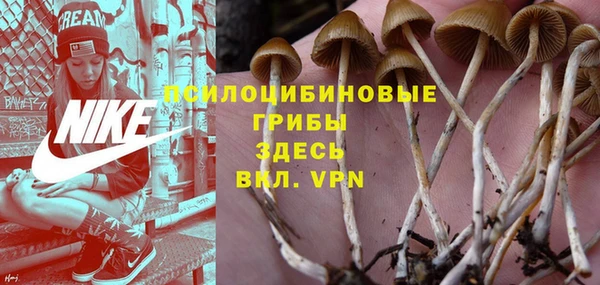 спиды Володарск