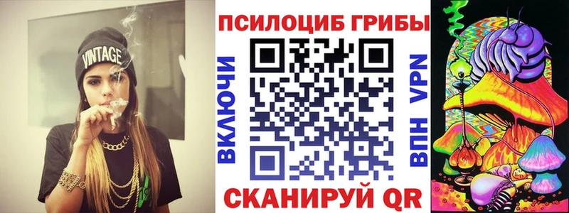 Купить закладки  Камень-на-Оби  Псилоцибиновые грибы Cubensis 
